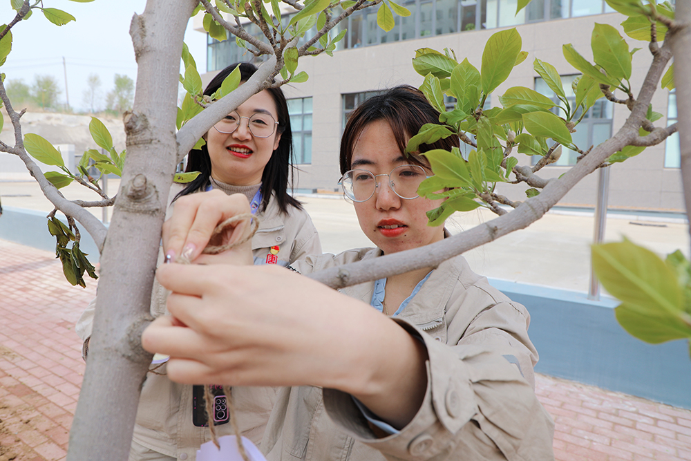 【现场风采】葫芦岛热力公司：植树增绿 一起向未来2.jpg